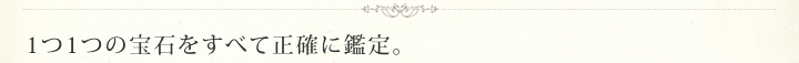 1つ1つの宝石をすべて正確に鑑定。